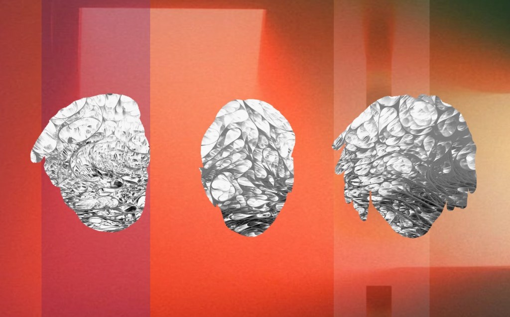 Owls Are Not, transe&nbsp;migratoire